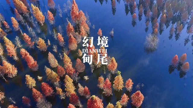 小猫钓鱼正版下载中文版