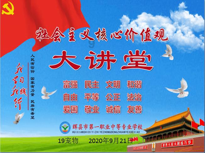 虫虫助手下载